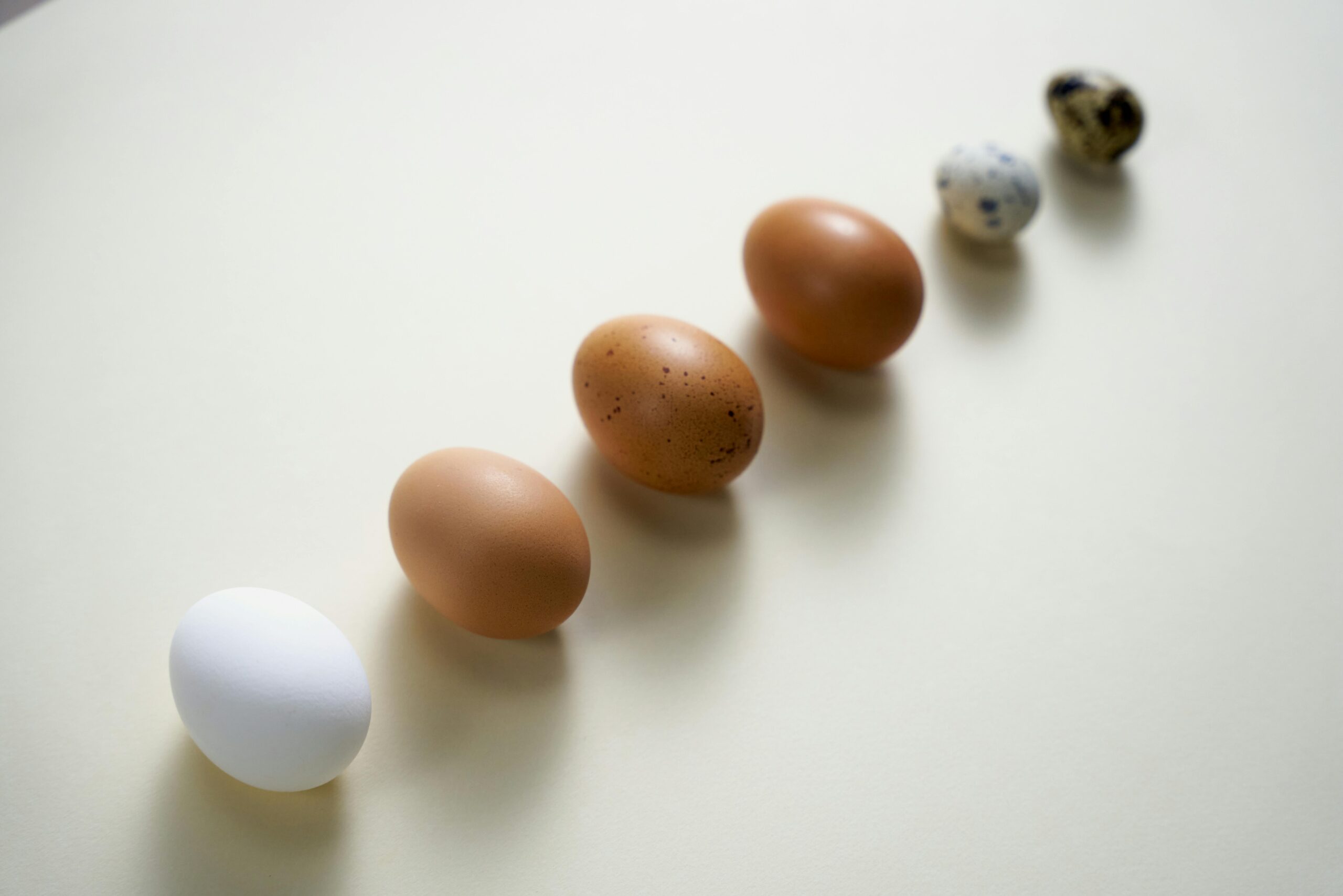 Protein Myths Busted: Simple Tips to Make Sure You Get Enough